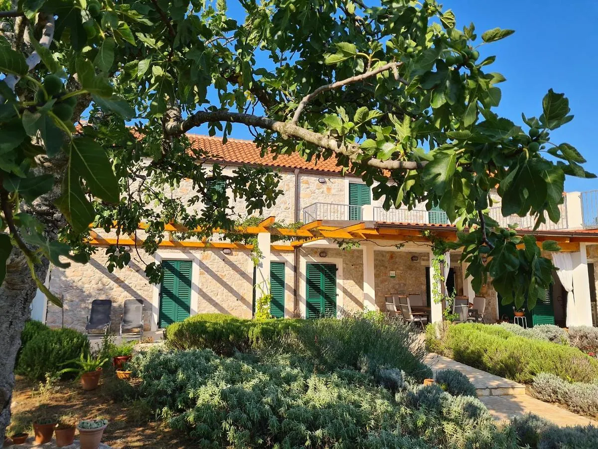 Villa Stone House Ugljan