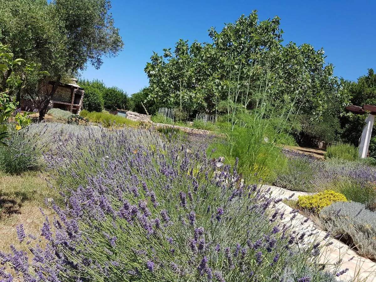 Villa Stone House Ugljan 0*,  Croatia