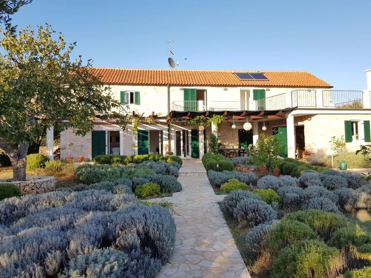 Villa Stone House Ugljan