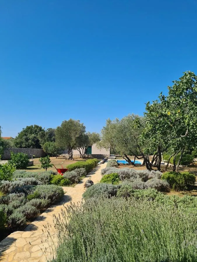 Villa Stone House Ugljan Croatia