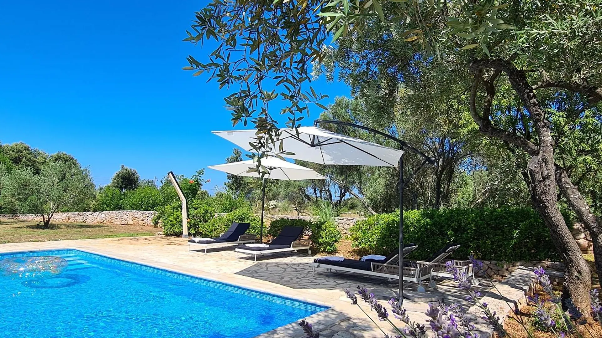 Villa Stone House Ugljan Croatia